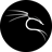 Kali Linux 2020.4 VM Image Download